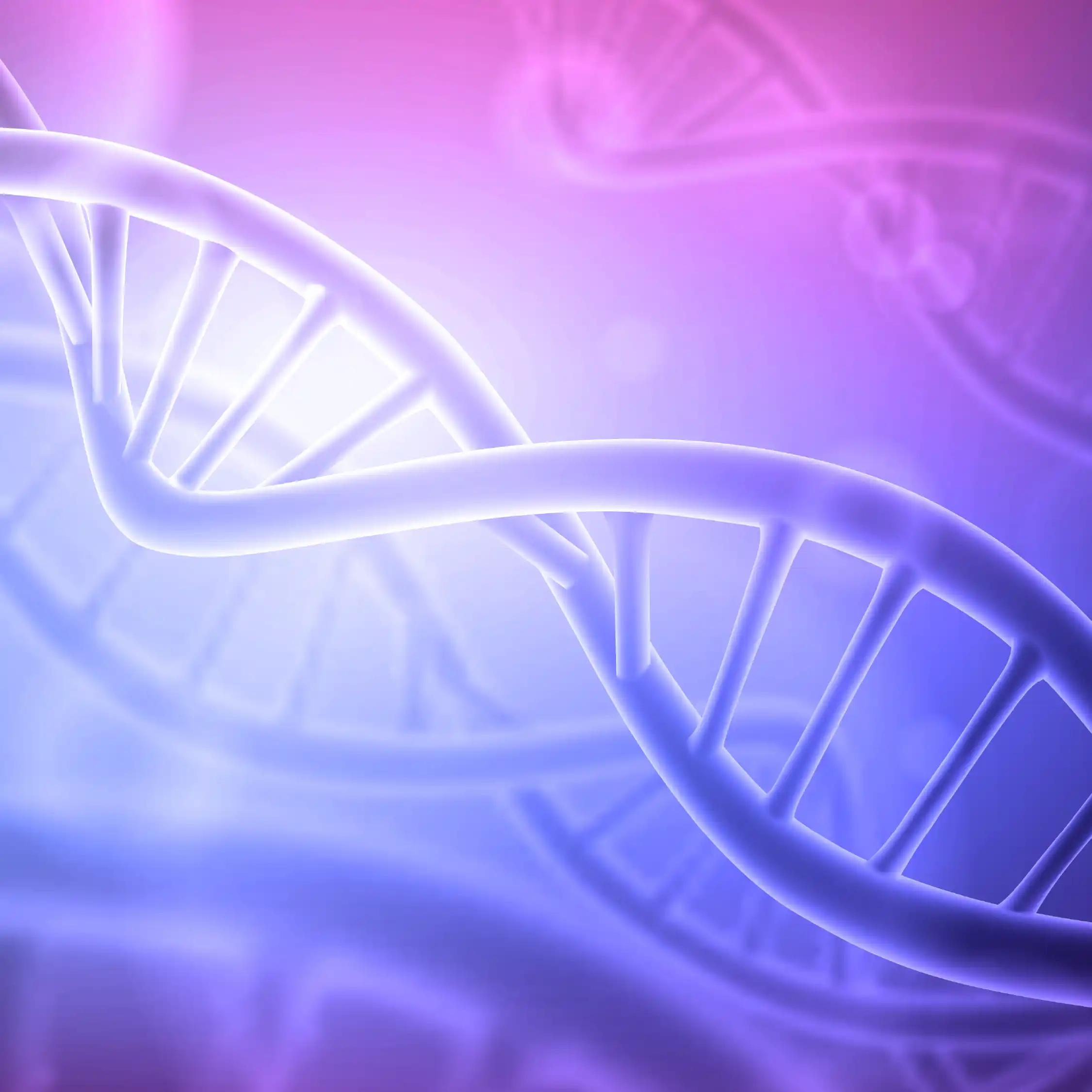 How Stress Shrinks Your DNA (and Your Lifespan)