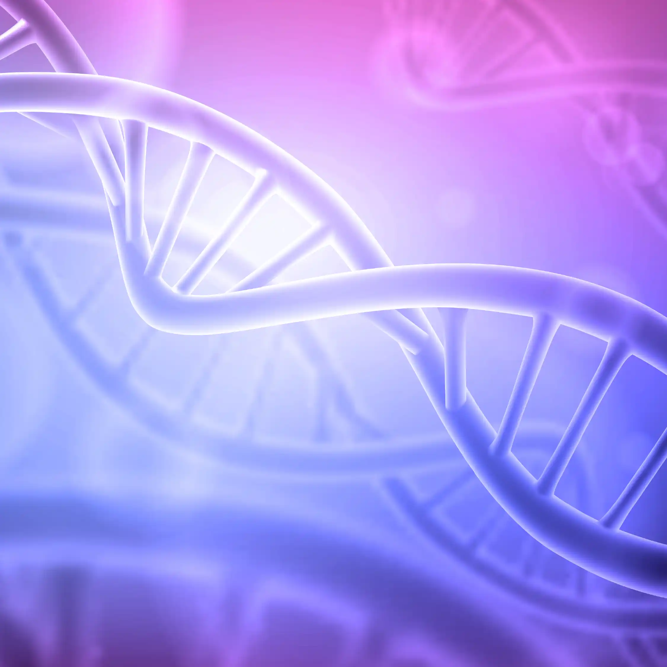 How Stress Shrinks Your DNA (and Your Lifespan)