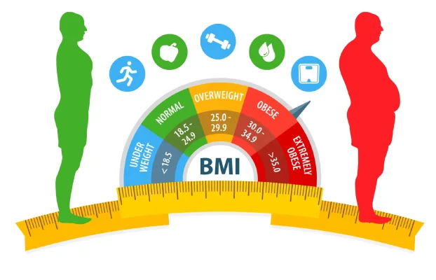 The Real Secret Number That Predicts Heart Health: Body Fat %